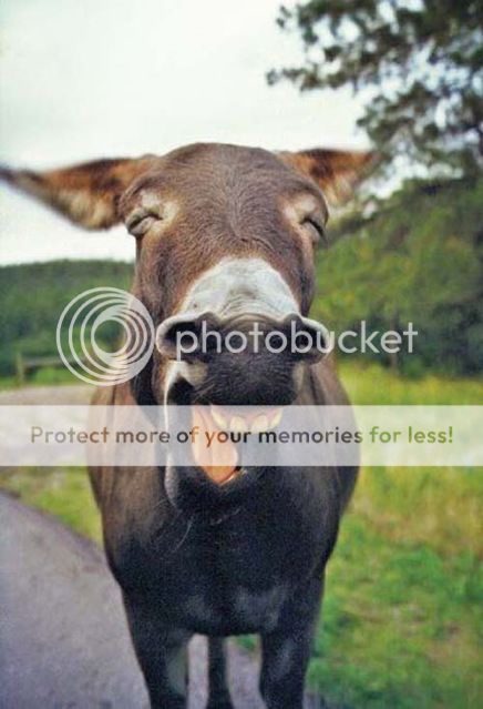 99.&nbsp; &nbsp;&nbsp; &nbsp;&nbsp;&nbsp;傻笑